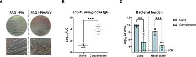 Monoclonal antibodies against lipopolysaccharide protect against Pseudomonas aeruginosa challenge in mice